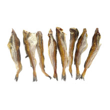 Dog Food Manufacturer High Protein Dried Pollack Fish Pet Snacks
